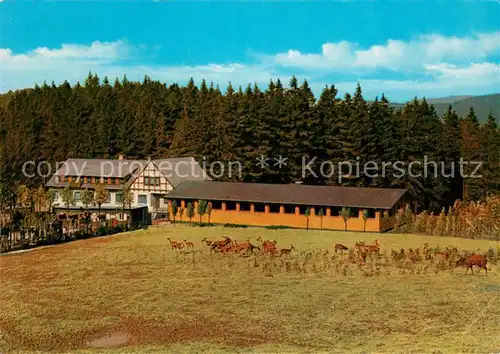 AK / Ansichtskarte Rinsecke Freigehege Rothaargebirge Rinsecke