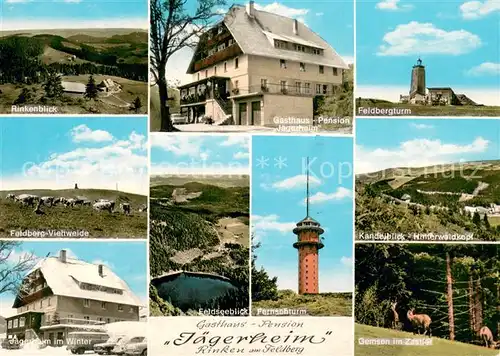 AK / Ansichtskarte Hinterzarten Gasthaus Pension Jaegerheim am Rinken Feldbergturm Viehweide Kandelblick Feldsee Fernsehturm Gemsen im Zastlertal Hinterzarten