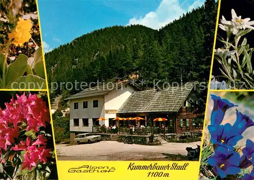 AK / Ansichtskarte Trattenbach Alpengasthof Kummerbauer Stadl Alpenflora Trattenbach