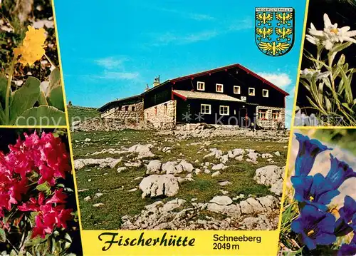 AK / Ansichtskarte Puchberg_Schneeberg Fischerhuette Alpenflora Puchberg Schneeberg