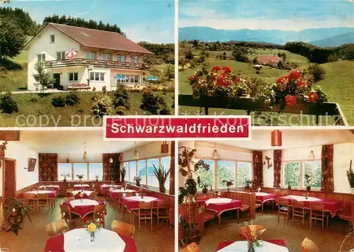 AK / Ansichtskarte Selbig_Biederbach Hoehencafe Pension Schwarzwaldfrieden Landschaftspanorama Schwarzwald 