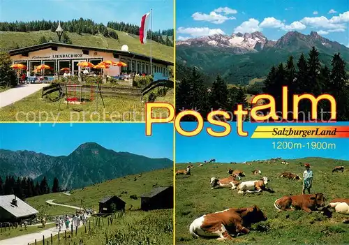 AK / Ansichtskarte Strobl Postalm Restaurant Lienbachhof Almvieh Kuehe Fernsicht Alpenpanorama Strobl