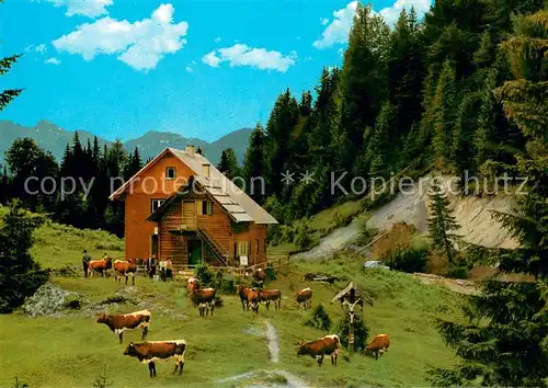 AK / Ansichtskarte Weissensee_Kaernten Naggleralm Almvieh Kuehe Alpen Weissensee Kaernten