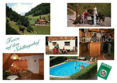 AK / Ansichtskarte Wolfach Ferien auf dem Schillingerhof Ponyreiten Zimmer Pool Bar Wolfach