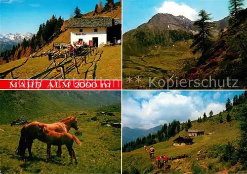 AK / Ansichtskarte Schenna_Meran Wanderparadies Hirzer Hochplateau Mahd Alm Landschaftspanorama Alpen Pferde Schenna Meran