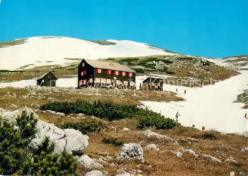 AK / Ansichtskarte Gross_Veitsch Graf Meran Haus gegen Gipfel der Hohen Veitsch Schutzhuette Muerzsteger Alpen Gross Veitsch