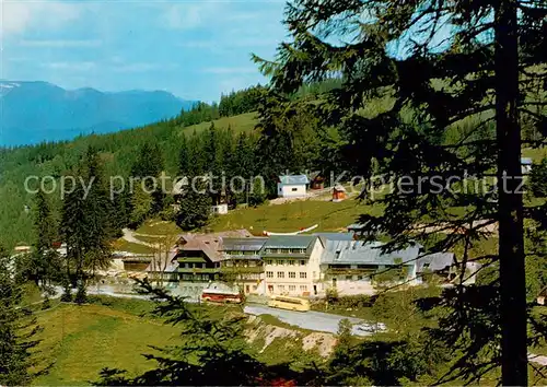 AK / Ansichtskarte Alpl Alpengasthof Bruggraber Waldheimathof Alpl