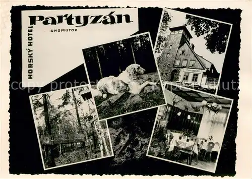 AK / Ansichtskarte Chomutov Horsky Hotel Partyzan Chomutov