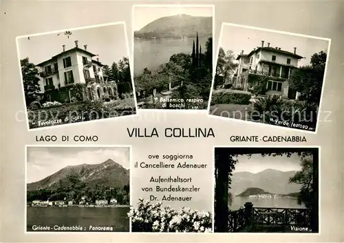 AK / Ansichtskarte Lago_di_Como Tevolozze di fiori Basamico respiro di boschi Verde Lestoso Griante Cadenabbia Panorama Visione Lago_di_Como