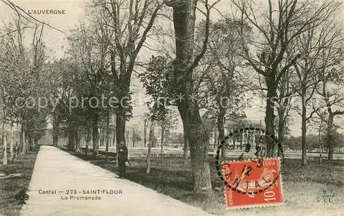 AK / Ansichtskarte Saint Flour_Cantal La Promenade Saint Flour Cantal