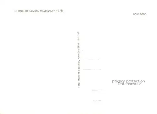 AK / Ansichtskarte Gemuend_Eifel Hotel Bellevue Terrasse Gemuend Eifel