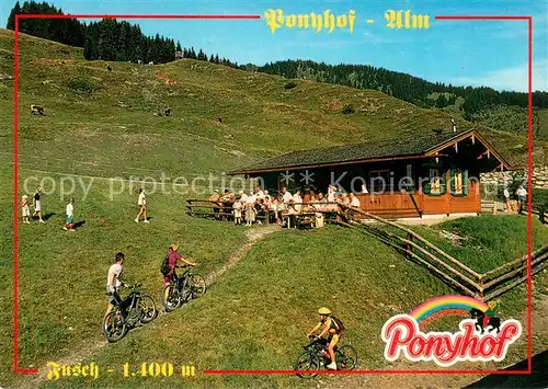 Fusch_Grossglocknerstrasse Ponyhof Alm Fusch