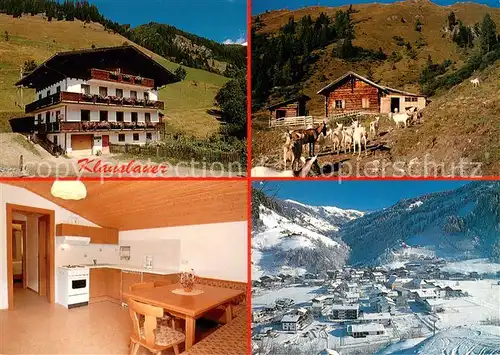 Grossarl Urlaub auf dem Bauernhof Gaesehaus Klausbauer Panorama Ellmauthal Almhuette Ziegen Grossarl