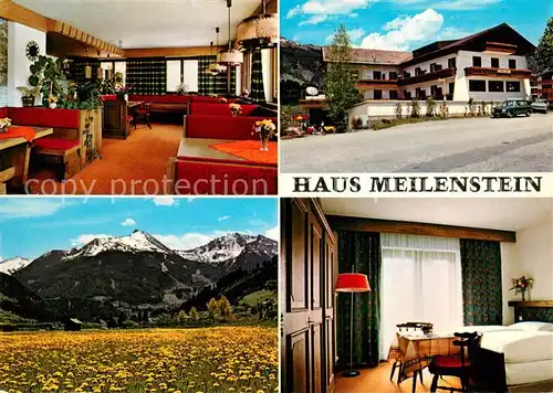 Bad_Hofgastein Pension Haus Meilenstein Landschaftspanorama Blumenwiese Alpen Bad_Hofgastein