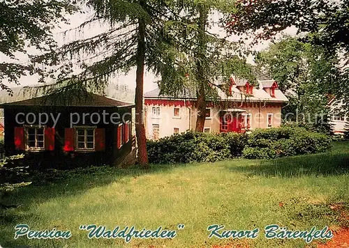 Baerenfels_Erzgebirge Pension Waldfrieden am Wald Baerenfels Erzgebirge