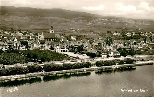 AK / Ansichtskarte Winkel_Oestrich Winkel Fliegeraufnahme Rheinpartie Winkel_Oestrich Winkel