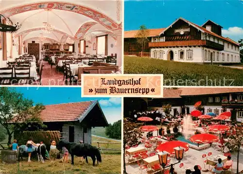 Kiefering Landgasthof zum Bauernsepp Ausflugslokal Ponys Kiefering