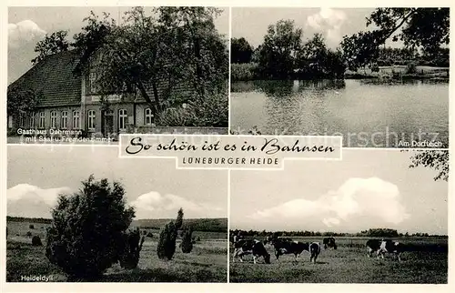 AK / Ansichtskarte Bahnsen Gasthaus Dehrmann Am Dorfteich Heideidyll Weiderinder Bahnsen
