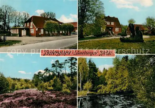 AK / Ansichtskarte Tosterglope Gast und Pensionshaus Hachmeister Lueneburger Heidelandschaft Tosterglope