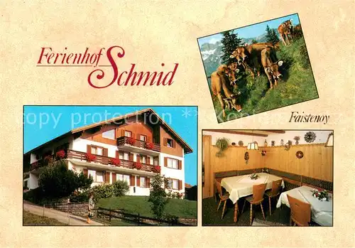 AK / Ansichtskarte Faistenoy Ferienhof Schmid Faistenoy