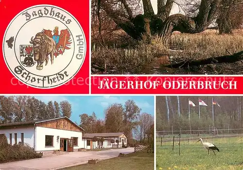 AK / Ansichtskarte Liepe_Eberswalde J?gerhof Oderbruch Storch Liepe Eberswalde