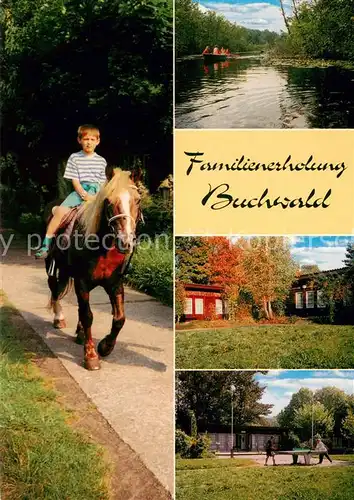 AK / Ansichtskarte Wendisch_Rietz Feriensiedlung Buchwald Pferde Wendisch Rietz