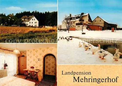 AK / Ansichtskarte Hohenbuch_Leupoldsgruen Landpension Mehringerhof Fremdenzimmer Partie am Wasser Enten 