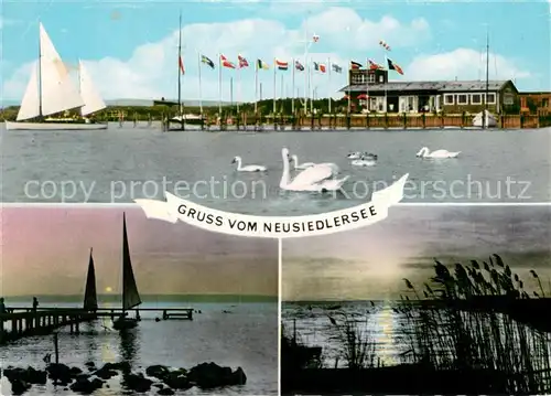 AK / Ansichtskarte Neusiedl_See Yachtclub Strand von Podersdorf Abendstimmung Schwaene Neusiedl See