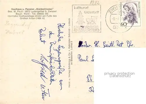 AK / Ansichtskarte Ludwigsthal Gasthaus Pension Waldesfrieden Ludwigsthal