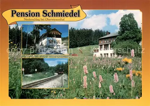 AK / Ansichtskarte Baerenstein_Annaberg Buchholz Pension Schmiedel Eisenbahn Dampflokomotive Blumenwiese Baerenstein