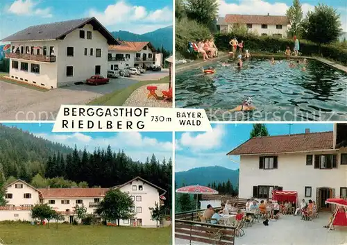 AK / Ansichtskarte Bodenmais Berggasthof Riedlberg Terrasse Swimming Pool Bodenmais