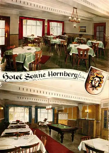 AK / Ansichtskarte Hornberg_Schwarzwald Hotel Sonne Restaurant Billard Wappen Hornberg Schwarzwald