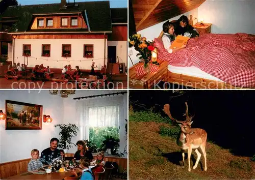 AK / Ansichtskarte Sachsengrund Gasthaus Pension Weidmannsheil Gaststube Fremdenzimmer Hirsch Sachsengrund