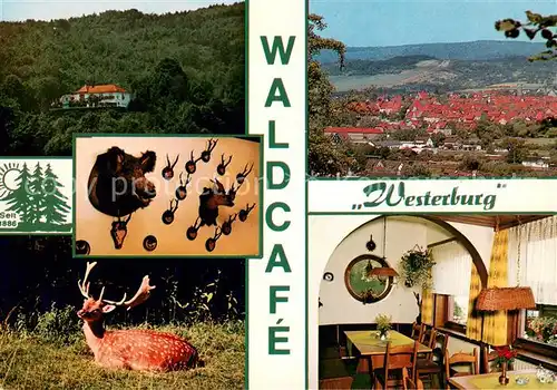 AK / Ansichtskarte Bad_Sooden Allendorf Ausflugslokal Waldcafe Westerburg Werratal Hirsch Bad_Sooden Allendorf