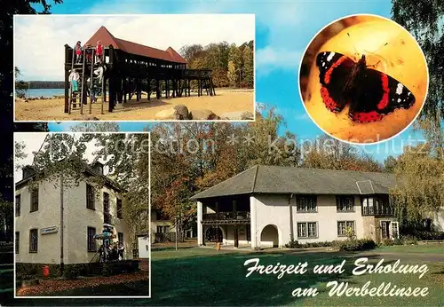 AK / Ansichtskarte Altenhof_Schorfheide Europaeisches Jugenderholungs  und Begegnungsstaette Werbellinsee Schmetterling Altenhof Schorfheide