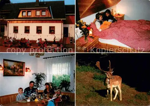 AK / Ansichtskarte Sachsengrund Gasthaus Pension Widmannsheil Fremdenzimmer Hirsch Wildgehege Sachsengrund