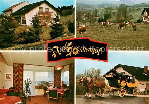 AK / Ansichtskarte Geringhausen Pension Sonnenhof Gaesteraum Postkutsche Viehweide Kuehe Geringhausen