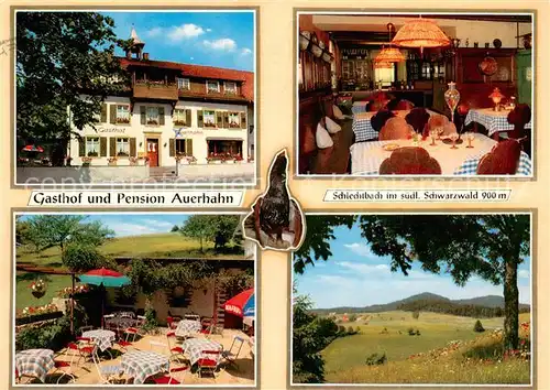 AK / Ansichtskarte Schlechtbach_Schopfheim Gasthof Pension Auerhahn Gaststaette Terrasse Landschaftspanorama Schlechtbach_Schopfheim