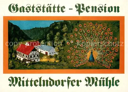 AK / Ansichtskarte Kirnitzschtal_Bad_Schandau Gaststaette Pension Mittelndorfer Muehle Pfau 