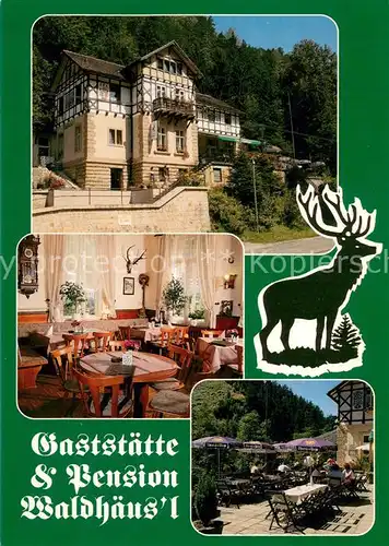 AK / Ansichtskarte Bad_Schandau Gaststaette Pension Waldhaeus l Restaurant Terrasse Hirsch Bad_Schandau