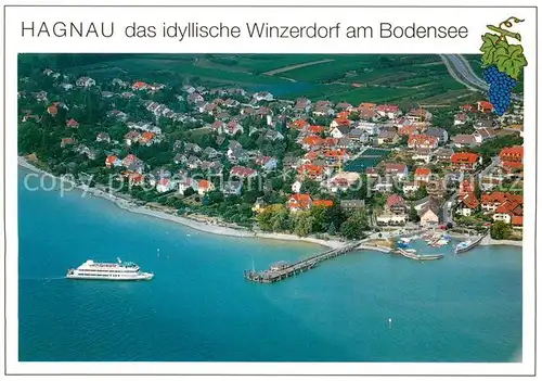 AK / Ansichtskarte Hagnau_Bodensee Winzerdorf am Bodensee Fliegeraufnahme Hagnau Bodensee
