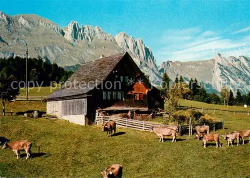AK / Ansichtskarte Gams_SG Bergheimat am Gamserberg gegen Alpstein Mutschen Kreuzberge Saxerluecke und Ambos Appenzeller Alpen Gams_SG