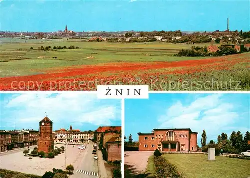 AK / Ansichtskarte Znin Gesamtansicht Marktplatz Kino 