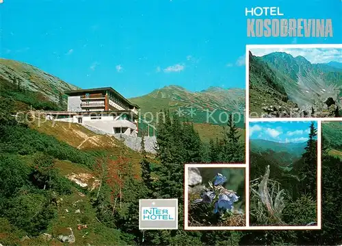 AK / Ansichtskarte Horna_Lehota Hotel Kosodrevina Interhotel Landschaftspanorama Bergflora Hohe Tatra 