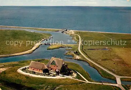 AK / Ansichtskarte Hallig_Hooge Fliegeraufnahme Hallig Hooge