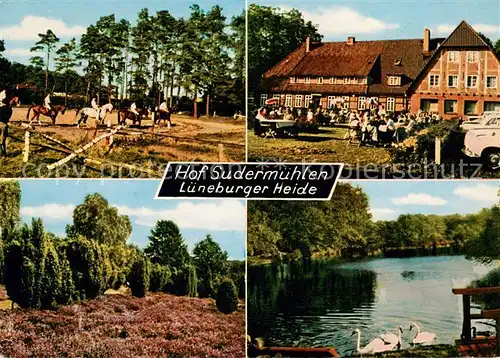 AK / Ansichtskarte Egestorf_Nordheide Hotel Hof Sudermuehlen Reitstall Teich Lueneburger Heide Egestorf_Nordheide