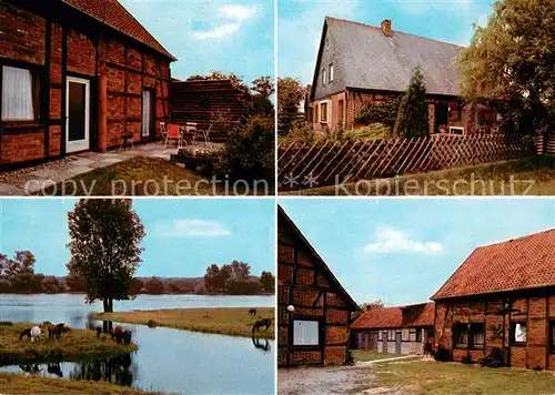 AK / Ansichtskarte Damnatz Ferienhaus Ferienwohnungen Erika Schulz Pferde am Wasser Damnatz