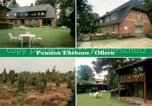 AK / Ansichtskarte Ollsen Pension Ehrhorn Lueneburger Heide Ollsen