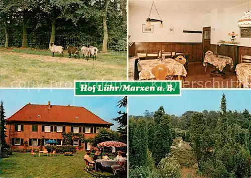 AK / Ansichtskarte Oldendorf_Luhe Urlaub auf dem Bauernhof Hof Luehr Lueneburger Heide Schafe Oldendorf Luhe