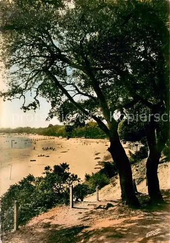 AK / Ansichtskarte Ile_de_Noirmoutier Plage St Pierre Vue du bois de la Chaize Ile_de_Noirmoutier
